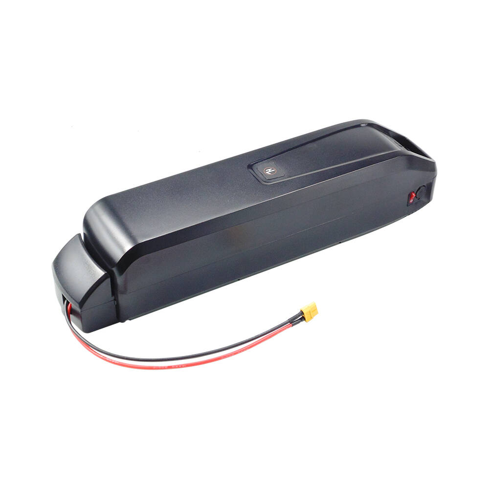 Ebike Battery 48V 20Ah Hailong - Baterai Ebike Hailong Baru S20 Pro