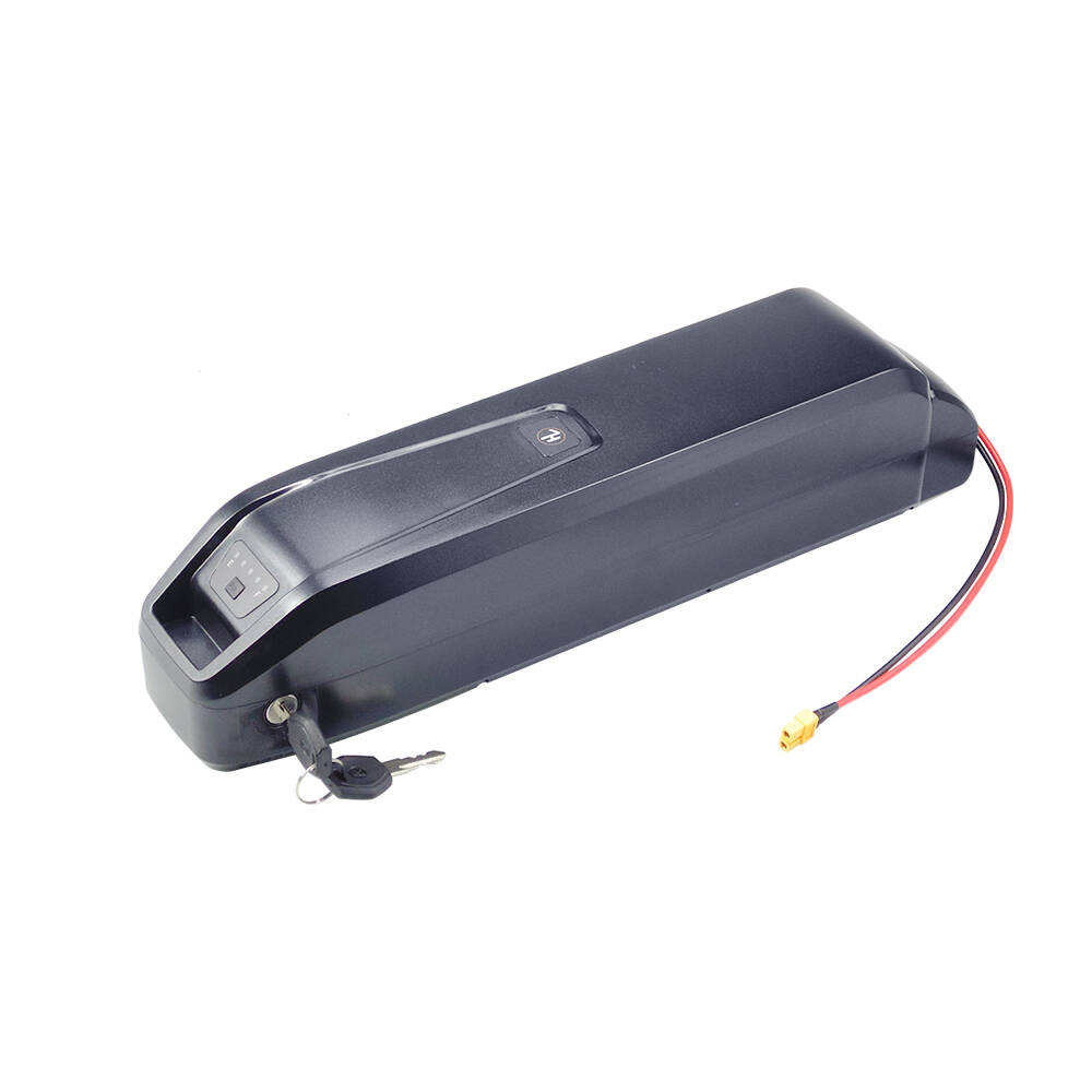 Baterai Ebike Hailong Baru S20 - Ebike Battery 48V 20Ah Hailong ulasan dan harga